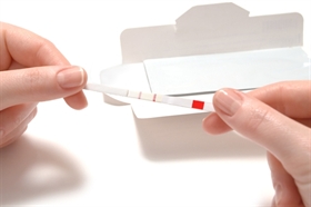 Picture of Ovulation Test